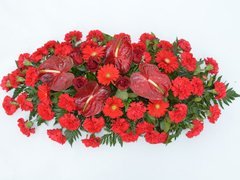 fiorirossi
