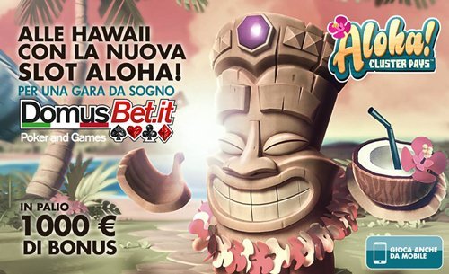 Su Domusbet arriva HAWAIIAN RACE Su Domusbet arriva HAWAIIAN RACE