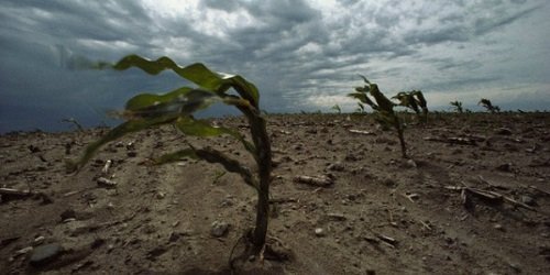 Gioco d’azzardo contro il cambiamento climatico? Uno dei più grandi fondi europei ci sta provando Gioco d’azzardo contro il cambiamento climatico? Uno dei più grandi fondi europei ci sta provando