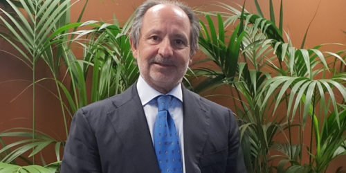 Zapponini