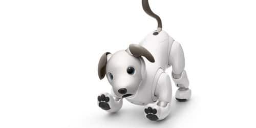 Sony annuncia la prima edizione di Litter Edition di aibo negli Stati Uniti Sony annuncia la prima edizione di Litter Edition di aibo negli Stati Uniti