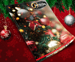 banner136-160-125