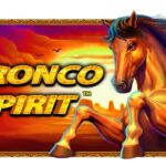 bronco spirit