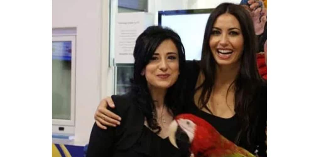 Campanella (Movimento Lavoratori Gioco Legale): “Lo Stato ha annientato le scommesse, noi così non riapriremo” Campanella (Movimento Lavoratori Gioco Legale): “Lo Stato ha annientato le scommesse, noi così non riapriremo”