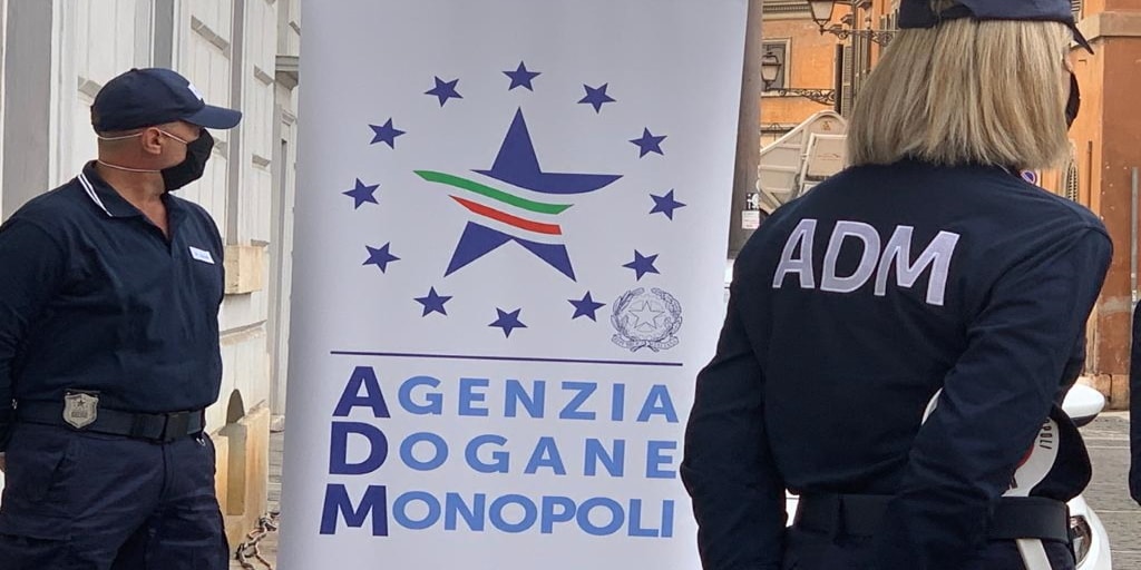 Porto di Palermo, Adm: sequestrate due tartarughe “Testudo Graeca” ADM