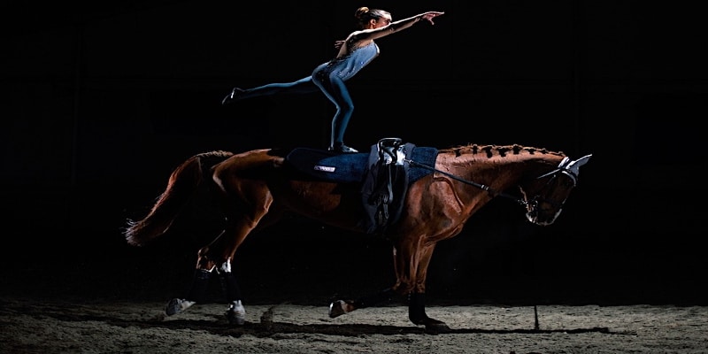 Ippica, Federazione Italiana Sport Equestri: grande successo per i campioni Toscani ai “Fise Awards” Ippica, Federazione Italiana Sport Equestri: grande successo per i campioni Toscani ai “Fise Awards”