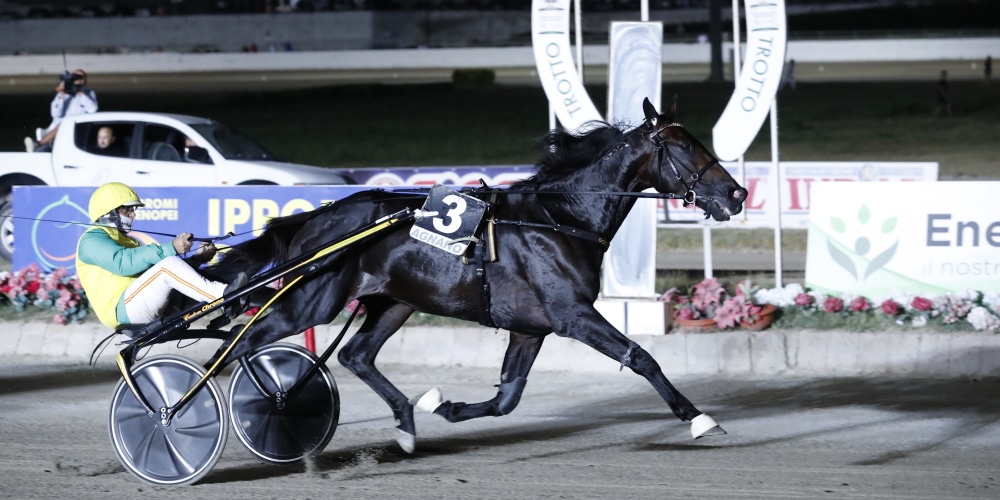 Ippodromo di Agnano, 75° Gran Premio Lotteria Trofeo Edilsivisa: venerdì conferenza stampa e sorteggio dei numeri Ippodromo di Agnano, 75° Gran Premio Lotteria Trofeo Edilsivisa: venerdì conferenza stampa e sorteggio dei numeri