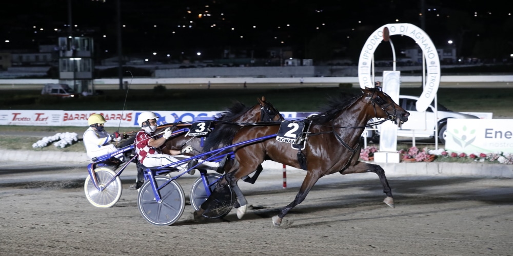 Ippodromo di Cesena, al via importante intervento di manutenzione straordinaria all’impianto di illuminazione: costerà 1,2 milioni di euro Ippodromo di Cesena, al via importante intervento di manutenzione straordinaria all’impianto di illuminazione: costerà 1,2 milioni di euro