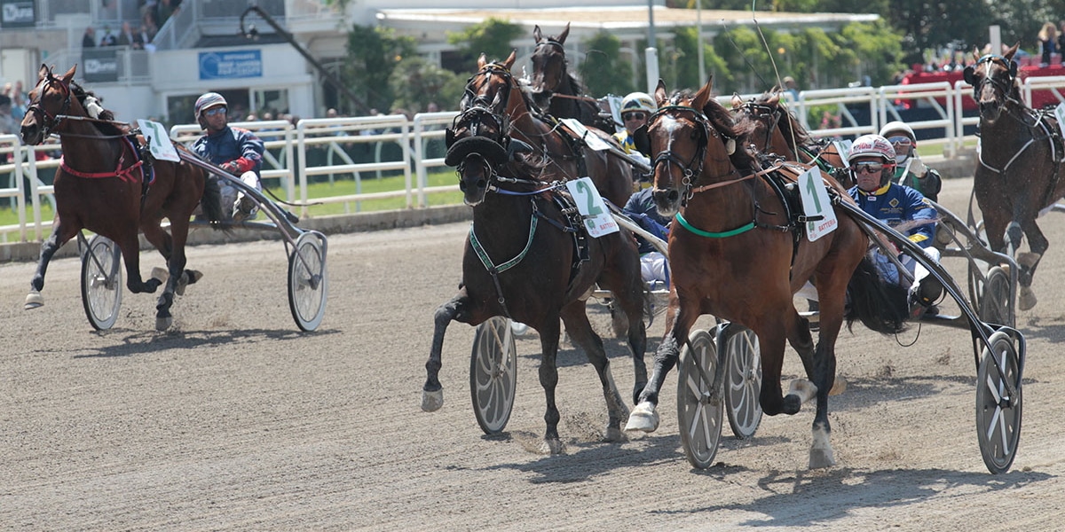Scommesse ippica: Colosseuss sfida Chuky Roc nel Gran Premio di Firenze, Caronte Trebì e Corazon Bar provano a sorprendere su Sisal Scommesse ippica: Colosseuss sfida Chuky Roc nel Gran Premio di Firenze, Caronte Trebì e Corazon Bar provano a sorprendere su Sisal