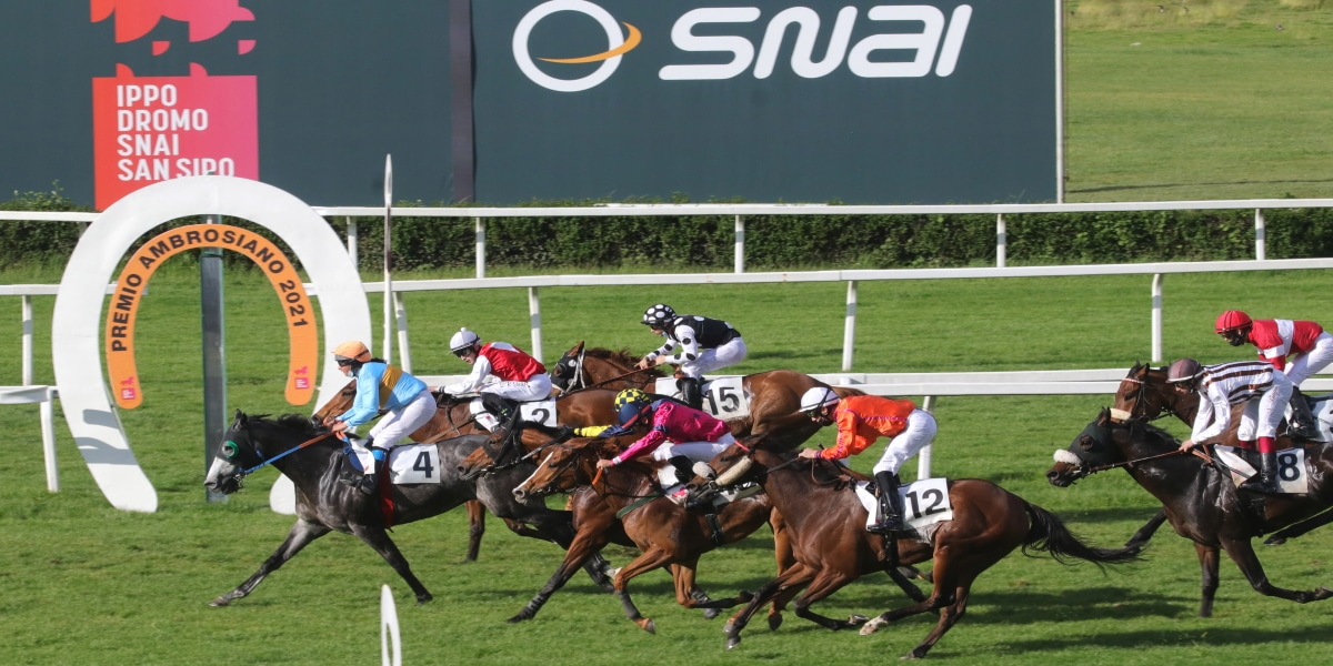Ippodromo Snai San Siro, la stagione di galoppo entra nel vivo: mercoledì il Premio Dormelletto Ippodromo Snai San Siro, la stagione di galoppo entra nel vivo: mercoledì il Premio Dormelletto