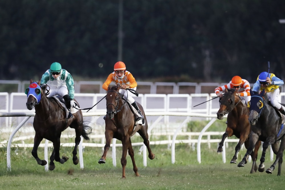 Marino (RM), Ambrogiani (PD): “Ippodromo Capannelle salvo notizia importantissima” Ippica