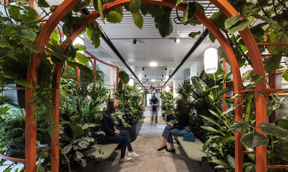Nuovo Headquarter Sisal a Milano, gli uffici esaltano la mission di COIMA Image: mettere l’uomo e la natura al centro dei luoghi di lavoro Nuovo Headquarter Sisal a Milano, gli uffici esaltano la mission di COIMA Image: mettere l’uomo e la natura al centro dei luoghi di lavoro