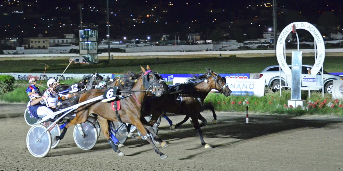 Scommesse ippiche, venerdì di fuoco con il Gran Premio Freccia d’Europa: Click Bait e Dany Capar i due favoriti su BetFlag Scommesse ippiche, venerdì di fuoco con il Gran Premio Freccia d’Europa: Click Bait e Dany Capar i due favoriti su BetFlag