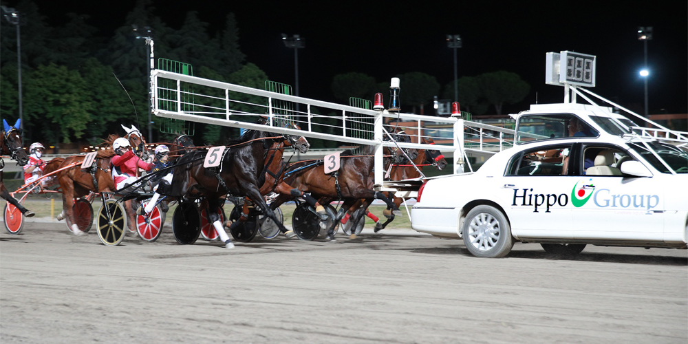 Premio EQUOS, sabato il pubblico del Savio in compagnia dei gentlemen HippoGroup