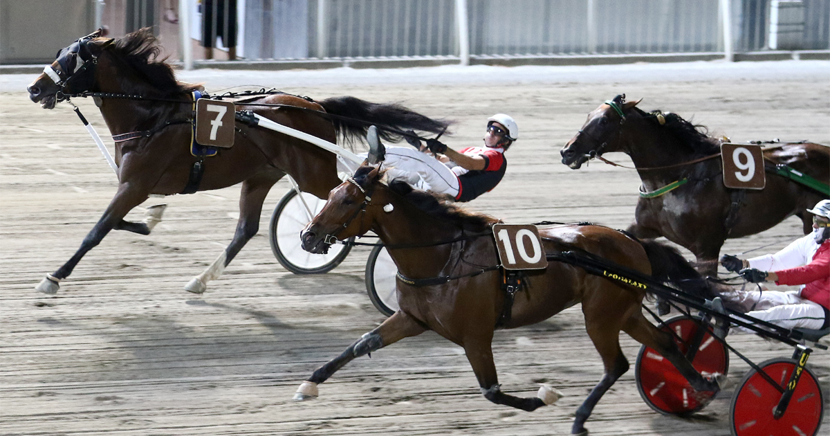 Ippodromo Palermo, Sipet: “Dal 10 settembre corse sospese in attesa di ricevere il pagamento delle sovvenzioni” Arrivo Cesena Ippica