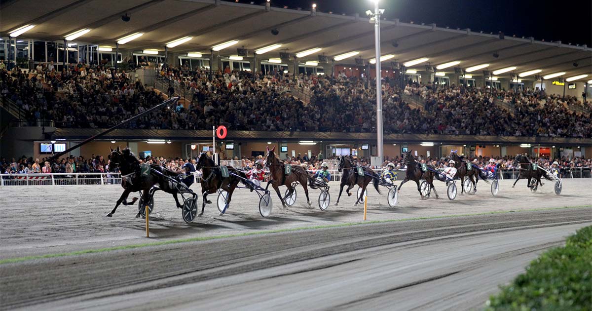 Ippodromo del Savio, Premio Tribunato di Romagna: successo sofferto per Elleboro Dr Ippodromo Cesena Trotto