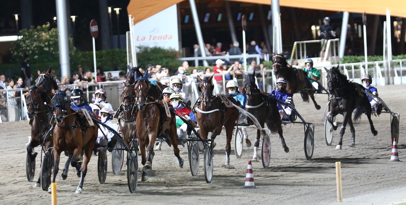 Ippodromo del Savio, tutto pronto per il 90° Campionato Europeo di Trotto Orogel Ippodromo del Savio, tutto pronto per il 90° Campionato Europeo di Trotto Orogel