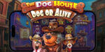 IV capitolo per Pragmatic Play, ecco Dog House Dog or Alive IV capitolo per Pragmatic Play, ecco Dog House Dog or Alive