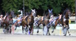 Scommesse ippiche, a Treviso cavalli in pista per il Gran Premio Biasuzzi: Executiv Ek favorito a 2,6 su BetFlag Scommesse ippiche, a Treviso cavalli in pista per il Gran Premio Biasuzzi: Executiv Ek favorito a 2,6 su BetFlag