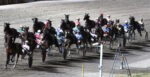 Scommesse ippiche, domenica il circo del trotto fa tappa a Treviso: Daughter As favorita a 2.5 su BetFlag Scommesse ippiche, domenica il circo del trotto fa tappa a Treviso: Daughter As favorita a 2.5 su BetFlag