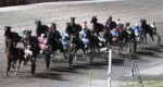 Ippodromo del Savio, sabato il Premio HID Ippodromo del Savio, sabato il Premio HID