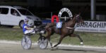 Ippodromo del Savio, sabato il Gran Premio Riccardo Grassi Ippodromo del Savio, sabato il Gran Premio Riccardo Grassi