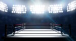 Scommesse pugilato, Tyson torna sul ring e sfida Jake Paul: Iron Mike ancora vincente a distanza di oltre 20 anni a 2,75 su Sisal Scommesse pugilato, Tyson torna sul ring e sfida Jake Paul: Iron Mike ancora vincente a distanza di oltre 20 anni a 2,75 su Sisal