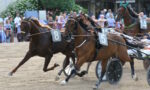 Ippodromo Arcoveggio, domenica spicca il “Premio Cromiko” Ippodromo Arcoveggio, domenica spicca il “Premio Cromiko”