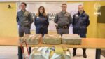 Porto di Genova, droga occultata nei container: Adm e Gdf sequestrano 260 chili di cocaina proveniente dal Sud America Porto di Genova, droga occultata nei container: Adm e Gdf sequestrano 260 chili di cocaina proveniente dal Sud America