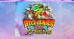 Ecco Big Bass Xmas Extreme! Ecco Big Bass Xmas Extreme!