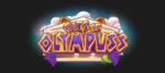 Push Gaming lancia Cats of Olympuss Push Gaming lancia Cats of Olympuss