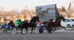 Ippodromo Arcoveggio, domenica spicca il “Premio Calavera” Ippodromo Arcoveggio, domenica spicca il “Premio Calavera”