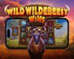 Pragmatic Play, Wild Wildebeest Wins in esclusiva su Admiral Group Pragmatic Play, Wild Wildebeest Wins in esclusiva su Admiral Group