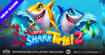 Tesori sottomarini in It’s Shark Time! 2, il nuovo sequel di ELA Games Tesori sottomarini in It’s Shark Time! 2, il nuovo sequel di ELA Games