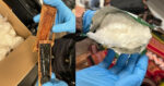 Adm-Gdf, sequestrati 16 chili di cocaina purissima all’aeroporto di Torino Adm-Gdf, sequestrati 16 chili di cocaina purissima all’aeroporto di Torino