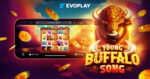 Evoplay lancia Young Buffalo Song: una slot selvaggia tra le praterie del Nord America Evoplay lancia Young Buffalo Song: una slot selvaggia tra le praterie del Nord America