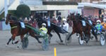 Ippodromo Arcoveggio, domenica 21 dicembre finali dei tornei dei gentlemen driver tra sport e solidarietà Ippodromo Arcoveggio, domenica 21 dicembre finali dei tornei dei gentlemen driver tra sport e solidarietà