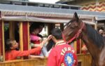 L’Ippodromo Arcoveggio riconosciuto tra i luoghi simbolo dello sport di Bologna L’Ippodromo Arcoveggio riconosciuto tra i luoghi simbolo dello sport di Bologna
