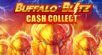 Una nuova Buffalo Blitz per Plytech, arriva la Cash Collect Una nuova Buffalo Blitz per Plytech, arriva la Cash Collect