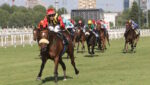 Scommesse ippiche, sabato ad Ascot il British Champions Fillies & Mares: Kalpana favorita a 3,75 su BetFlag, Estrange e Waardah le principali alternative Scommesse ippiche, sabato ad Ascot il British Champions Fillies & Mares: Kalpana favorita a 3,75 su BetFlag, Estrange e Waardah le principali alternative
