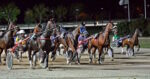 All’Ippodromo del Garigliano si corre “La più bella del Reame”: sfida al femminile sui 1100 metri All’Ippodromo del Garigliano si corre “La più bella del Reame”: sfida al femminile sui 1100 metri