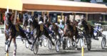 Ippodromo del Savio, martedì serata all’insegna della solidarietà Ippodromo del Savio, martedì serata all’insegna della solidarietà