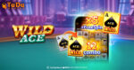 TaDa Gaming gioca una mano emozionante con Wild Ace TaDa Gaming gioca una mano emozionante con Wild Ace