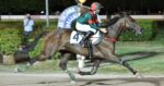 Gran Premio Città di Montecatini: trionfo a sorpresa di Ernesto Spritz davanti a 4mila spettatori Gran Premio Città di Montecatini: trionfo a sorpresa di Ernesto Spritz davanti a 4mila spettatori