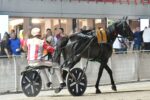 Ippodromo Snai Sesana, Fortunadrago Font trionfa nel Gran Premio Nello Bellei Ippodromo Snai Sesana, Fortunadrago Font trionfa nel Gran Premio Nello Bellei