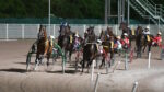 Montecatini, corse di trotto in preserale all’Ippodromo Snai Sesana Montecatini, corse di trotto in preserale all’Ippodromo Snai Sesana