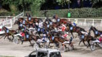 Ippodromo del Savio, tutto pronto per la finale del Campionato Europeo Orogel Ippodromo del Savio, tutto pronto per la finale del Campionato Europeo Orogel
