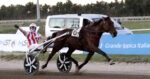 Ippodromo di Agnano, trotto: il 4 e 5 ottobre incontro dei gentlemen d’Italia Ippodromo di Agnano, trotto: il 4 e 5 ottobre incontro dei gentlemen d’Italia