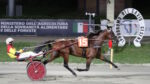 Ippodromo del Savio, Eridamia conquista il Premio Teleromagna Ippodromo del Savio, Eridamia conquista il Premio Teleromagna