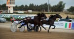 Ippodromo dei Sauri, giovedì si corre per la solidarietà Ippodromo dei Sauri, giovedì si corre per la solidarietà